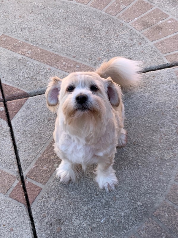 max looking handsome for the camera