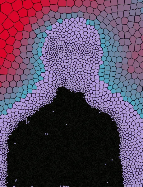 A weighted voronoi diagram of a picture of Tai.